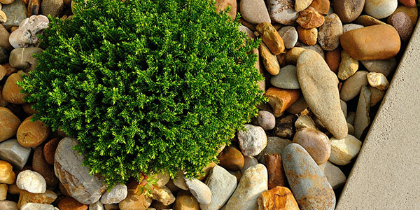 gartenlandschaftsbau